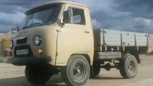 3303 головастик
